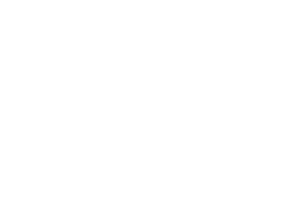 Logo Footer